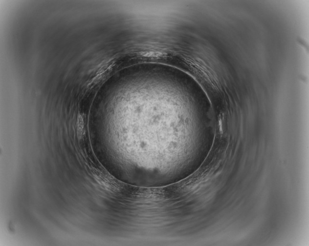 X0000096951347200802151228