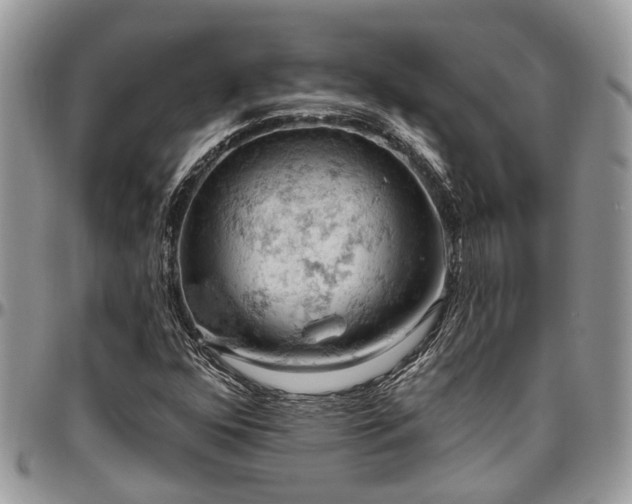 X0000096951352200802151228