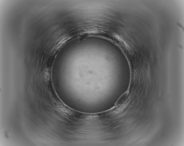 X0000096951353200802151228