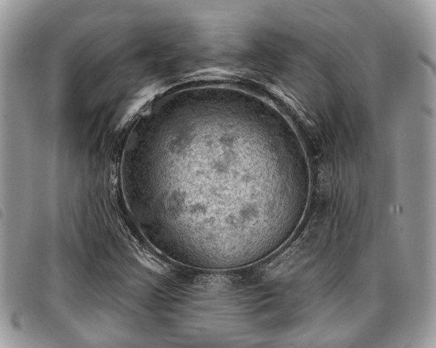 X0000096951355200802151228