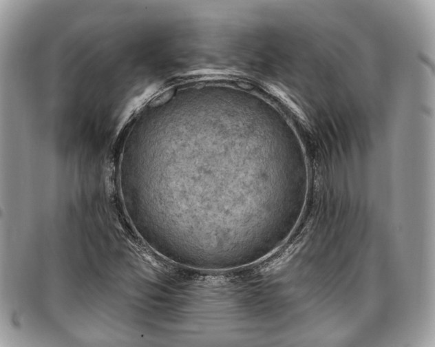 X0000096951357200802151228