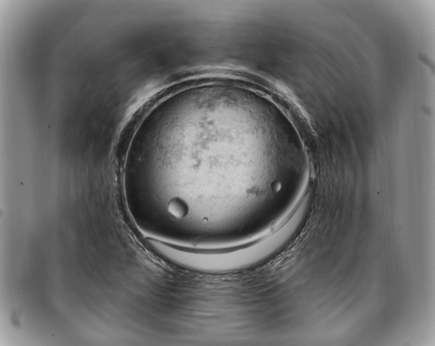 X0000096951360200802151227