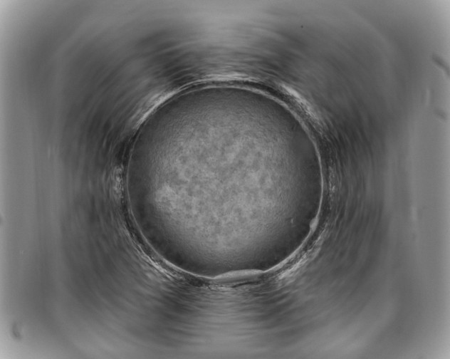 X0000096951361200802151227
