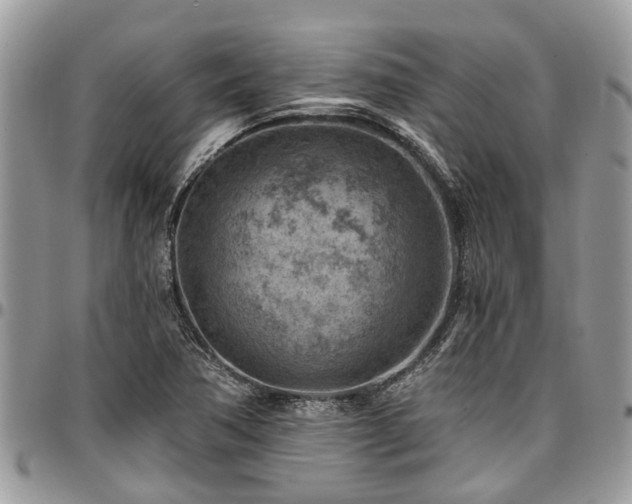 X0000096951362200802151227