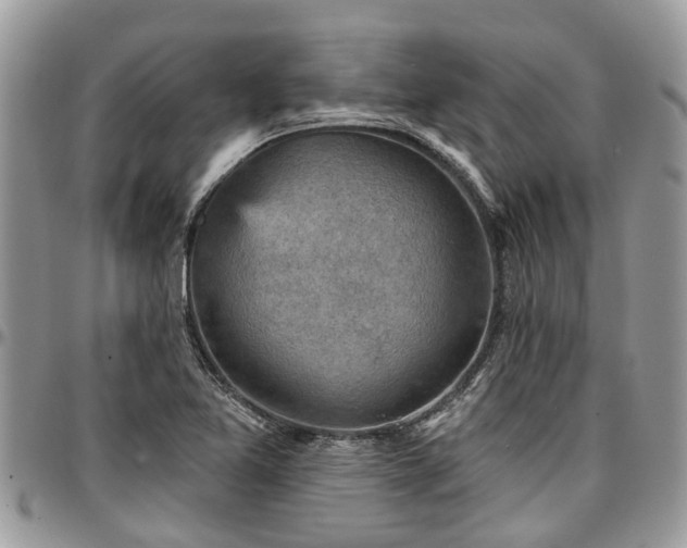 X0000096951365200802151227