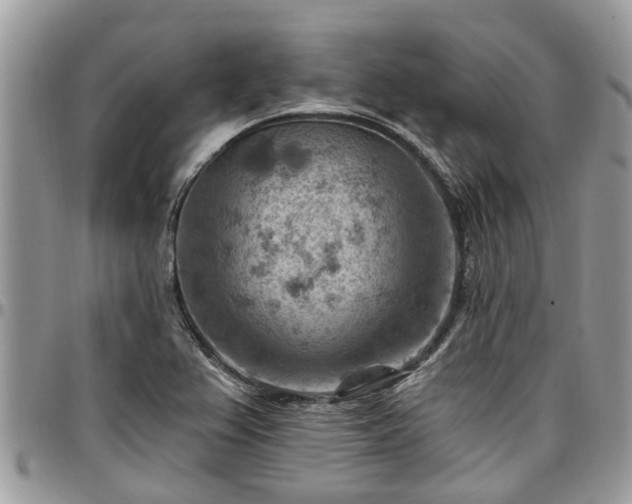 X0000096951367200802151227