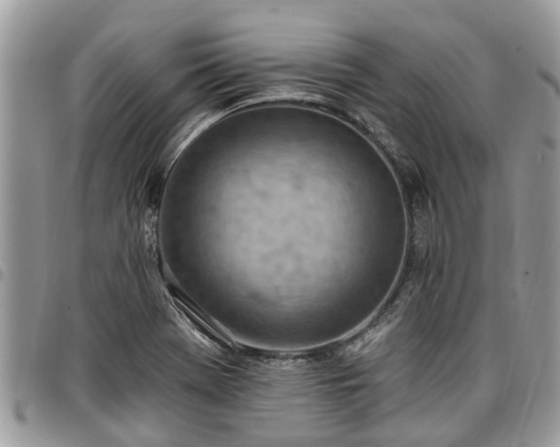 X0000096951369200802151227