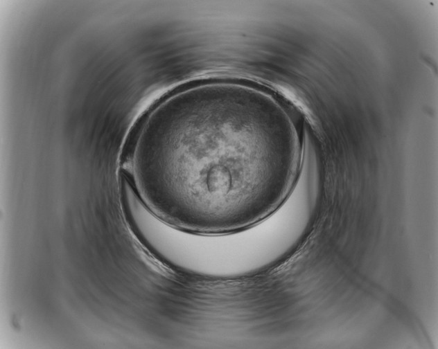 X0000096951372200802151227