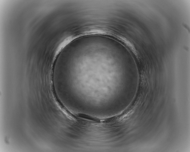 X0000096951373200802151227