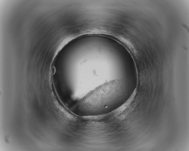 X0000096951374200802151227