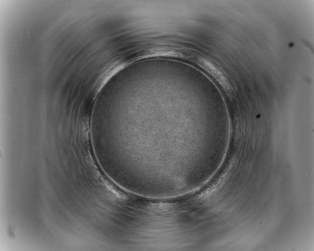X0000096951377200802151227