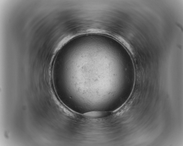 X0000096951381200802151227