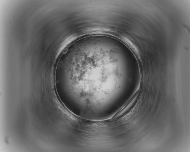X0000096951384200802151227