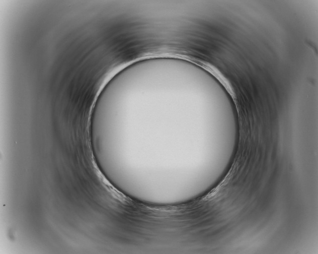 X0000096951388200802151227