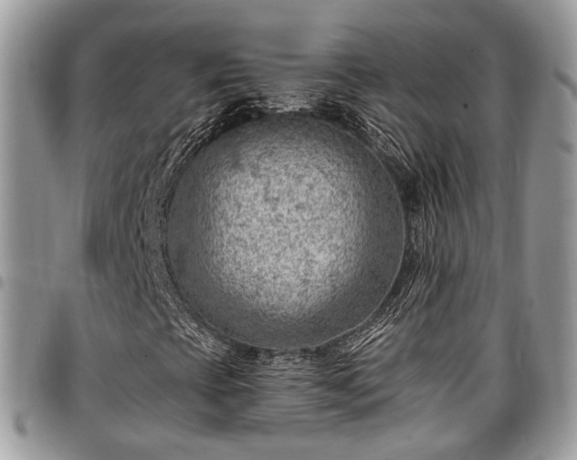 X0000096951393200802151226