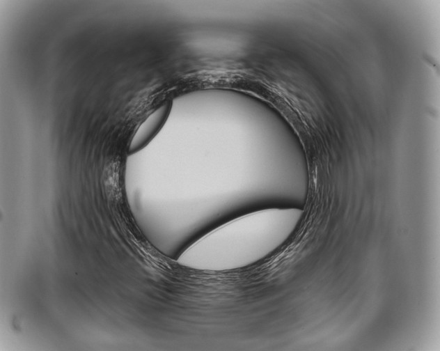 X0000096951396200802151226