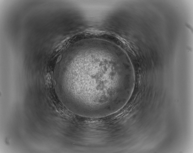 X0000096951397200802151226