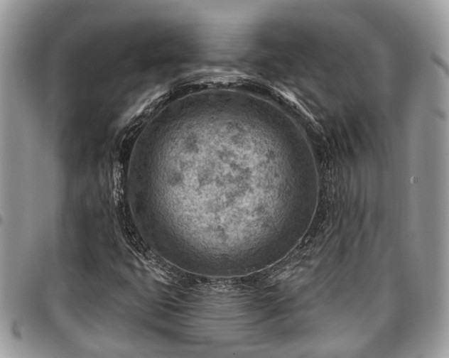 X0000096951399200802151226