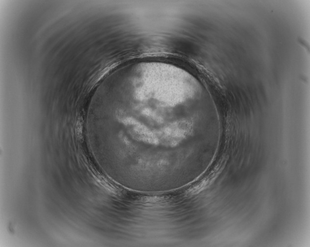 X0000096951401200802151226