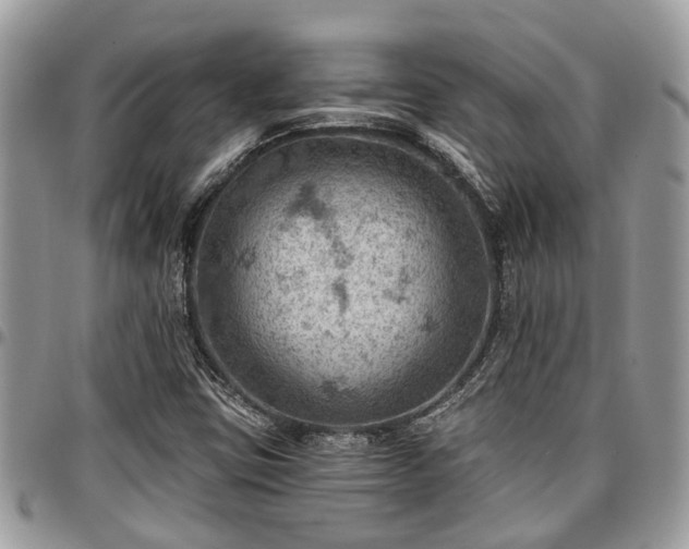 X0000096951403200802151226