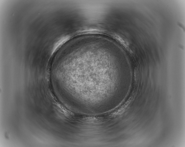 X0000096951405200802151226