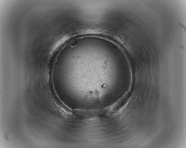 X0000096951406200802151226