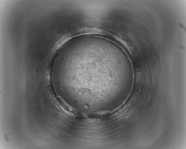 X0000096951407200802151226