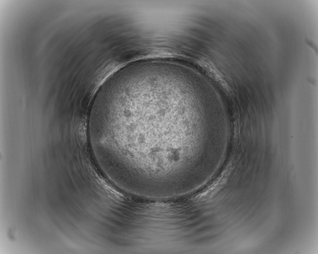 X0000096951409200802151226