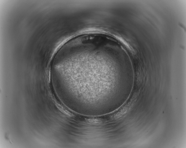 X0000096951413200802151226