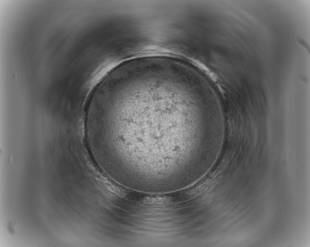 X0000096951415200802151227