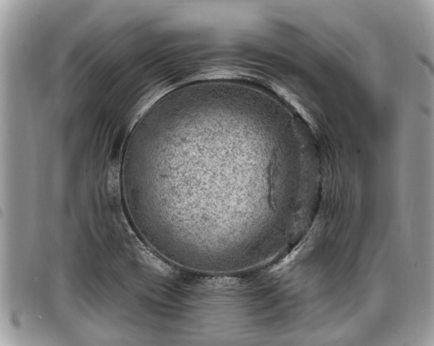 X0000096951417200802151227
