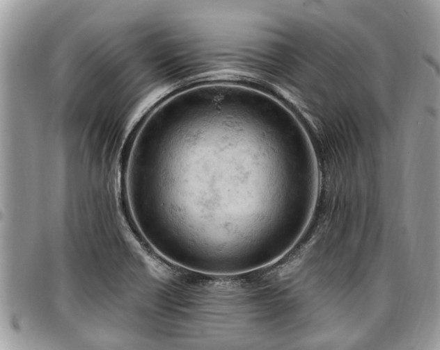 X0000096951418200802151227