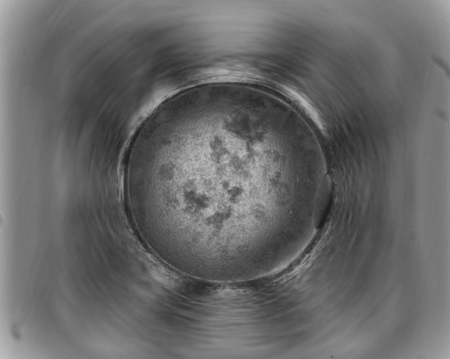 X0000096951419200802151227