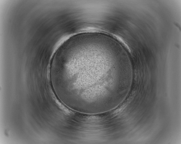 X0000096951421200802151227