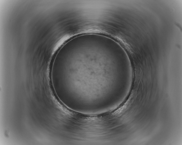 X0000096951422200802151227