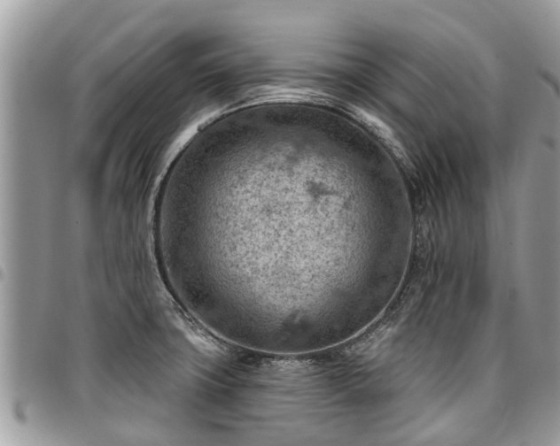 X0000096951427200802151227