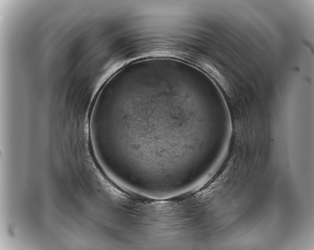 X0000096951428200802151227