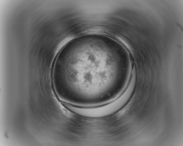 X0000096951434200802151227