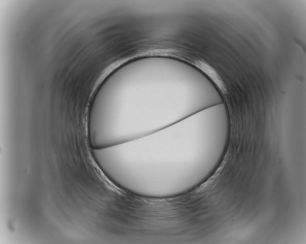 X0000096951436200802151227