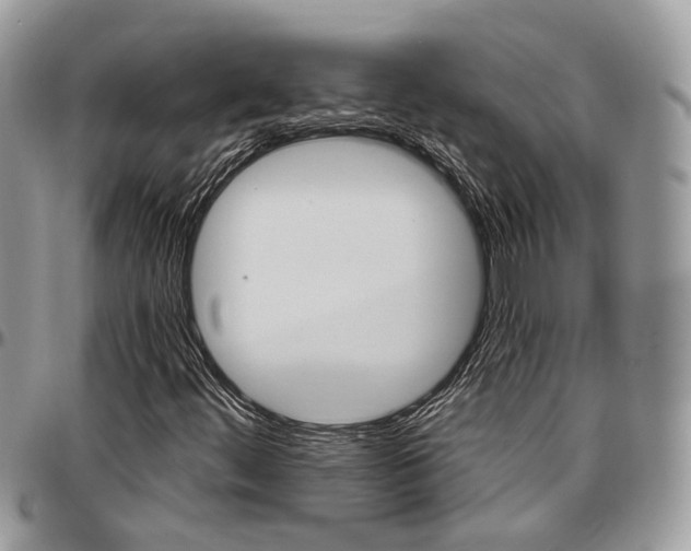X0000096951444200802151226
