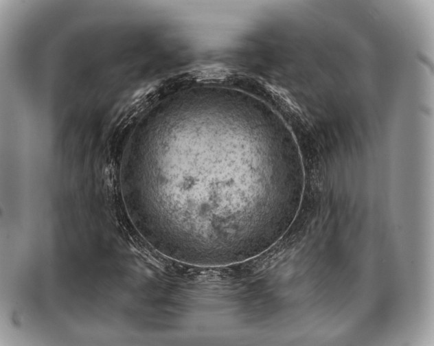 X0000096951445200802151226