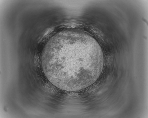 X0000096951446200802151226