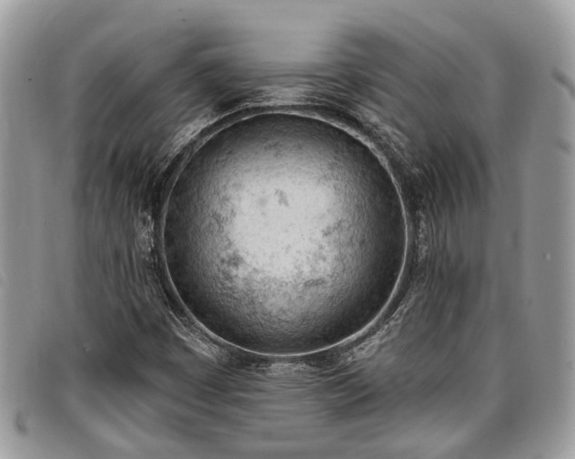 X0000096951449200802151226