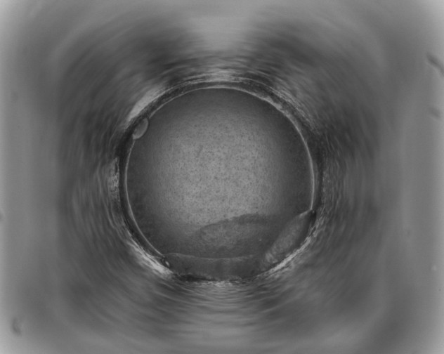 X0000096951450200802151226