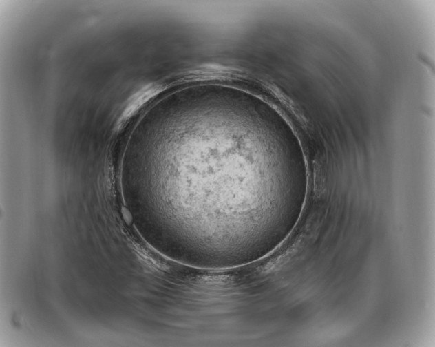 X0000096951453200802151226
