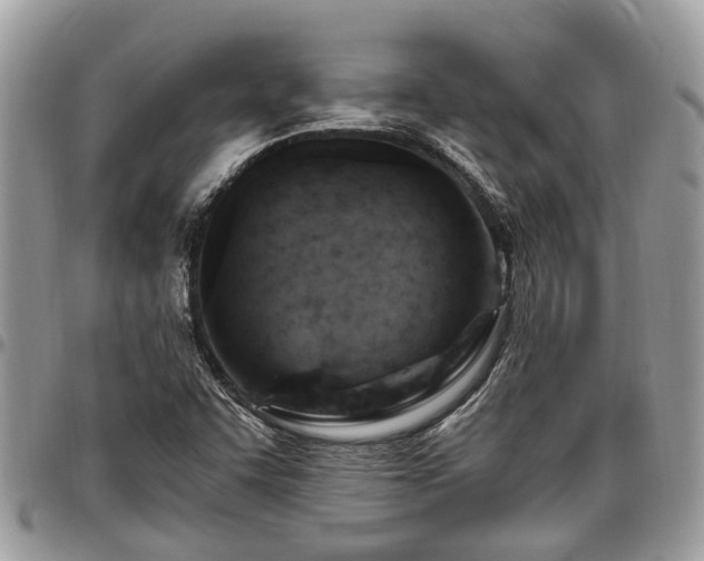 X0000096951455200802151226