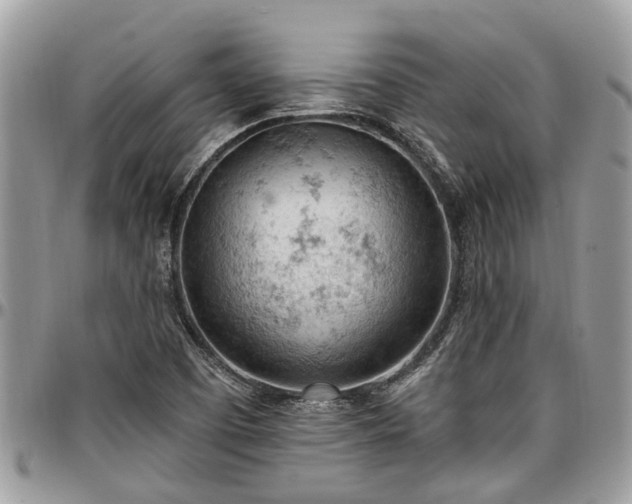 X0000096951457200802151226