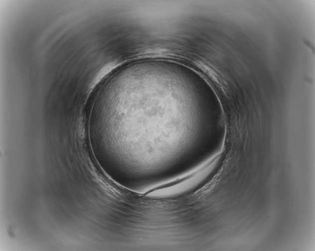 X0000096951458200802151226