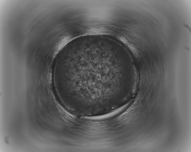 X0000096951459200802151226