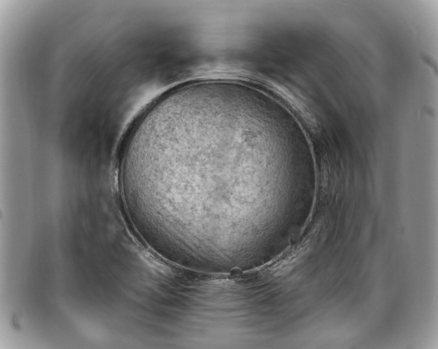 X0000096951462200802151226